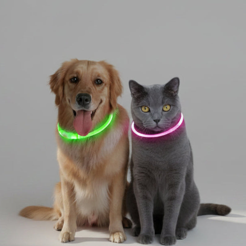USB Rechargeable LED Dog Collar | Glowing Night Safety Collar | 3 Light Modes | XS to XXL | Adjustable Webbing & Cut-to-Fit Tube