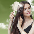 2-in-1 Electric Misting Hair Brush -- Anti-Static Steam Spray Comb | Frizz Control